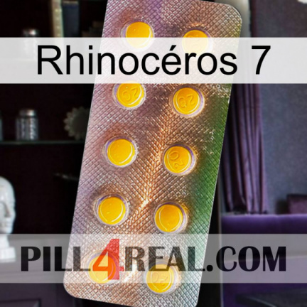 Rhinocéros 7 new11